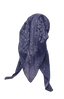 SG Paisley Tichel B-paisley