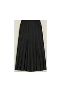 Sam Fashion  Pleated Skirt  601