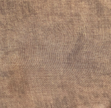 AHEAD TICHEL 2721 Solid Texture Print FW25-26