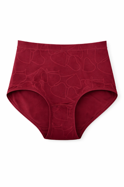 Slimit Brief 3 pk SLM2701