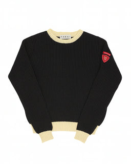 Parni  T475  Chunky Knit Sweater FW25-26